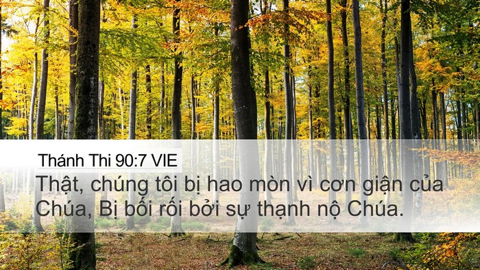 Thánh Thi 90:7 VIE Bible Verse Image