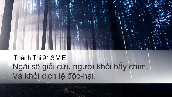 Thánh Thi 91:3 VIE Bible Verse Image