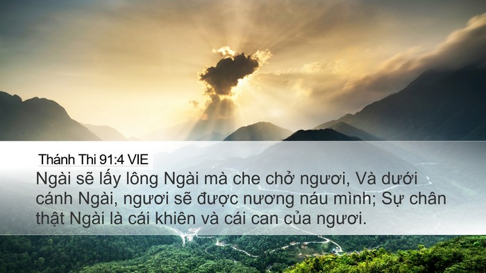 Thánh Thi 91:4 VIE Bible Verse Image
