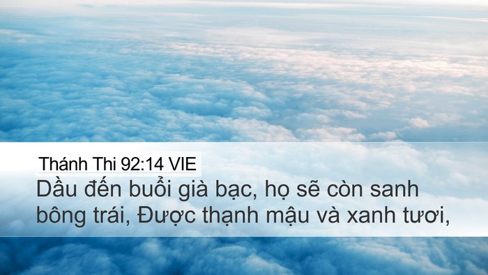 Thánh Thi 92:14 VIE Bible Verse Image