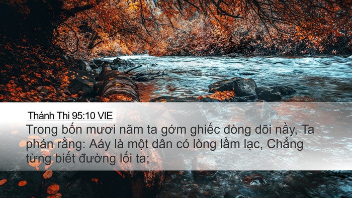 Thánh Thi 95:10 VIE Bible Verse Image