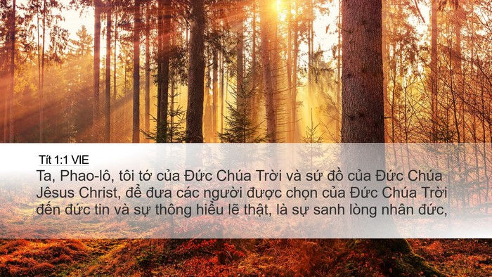 Tít 1:1 VIE Bible Verse Image
