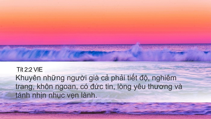 Tít 2:2 VIE Bible Verse Image
