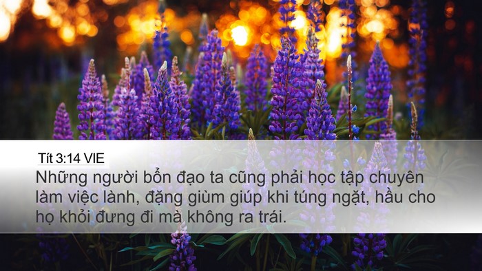 Tít 3:14 VIE Bible Verse Image