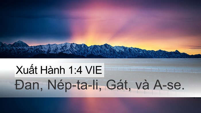 Xuất Hành 1:4 VIE Desktop Wallpaper - Đan, Nép-ta-li, Gát, và - Desktop Bible Verse Wallpaper