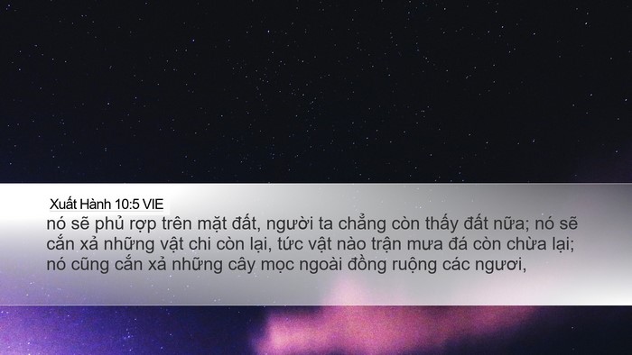 Xuất Hành 10:5 VIE Desktop Wallpaper - nó sẽ phủ rợp trên mặt đất, người - Desktop Bible Verse Wallpaper