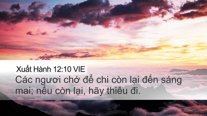 Xuất Hành 12:10 VIE Bible Verse Image