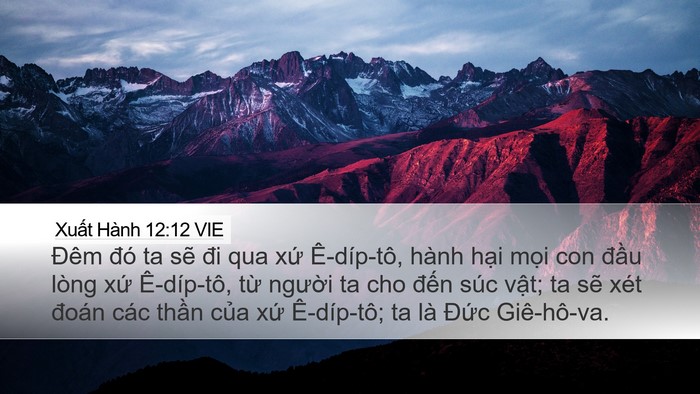 Xuất Hành 12:12 VIE Bible Verse Image
