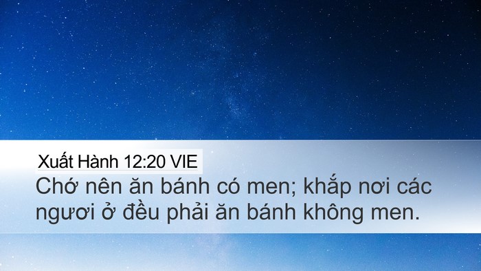 Xuất Hành 12:20 VIE Desktop Wallpaper - Chớ nên ăn bánh có men; khắp nơi các - Desktop Bible Verse Wallpaper