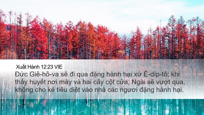 Xuất Hành 12:23 VIE Bible Verse Image