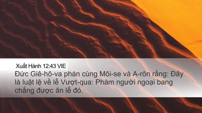 Xuất Hành 12:43 VIE Bible Verse Image