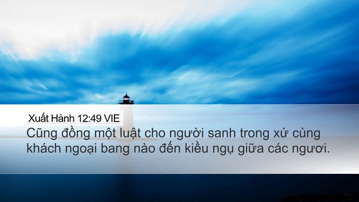 Xuất Hành 12:49 VIE Bible Verse Image