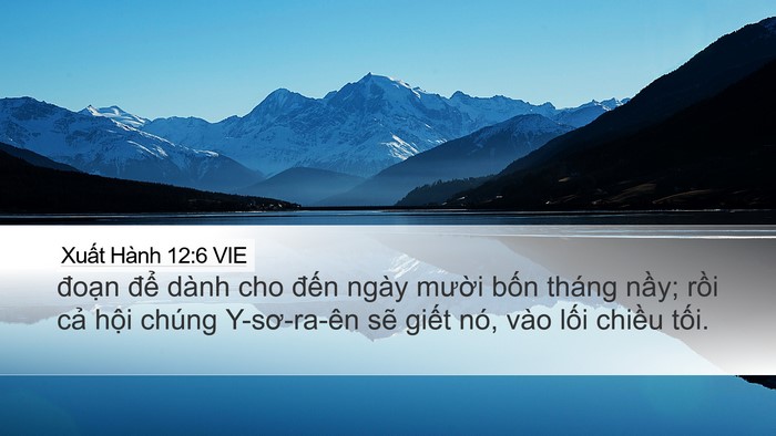 Xuất Hành 12:6 VIE Bible Verse Image