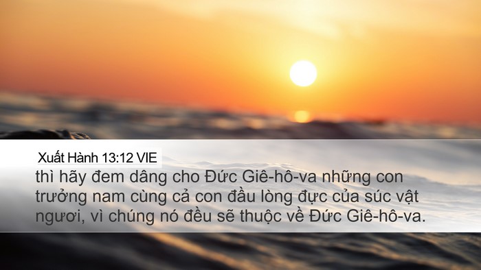 Xuất Hành 13:12 VIE Bible Verse Image