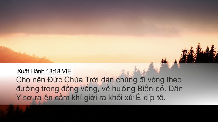 Xuất Hành 13:18 VIE Bible Verse Image