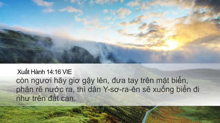 Xuất Hành 14:16 VIE Bible Verse Image