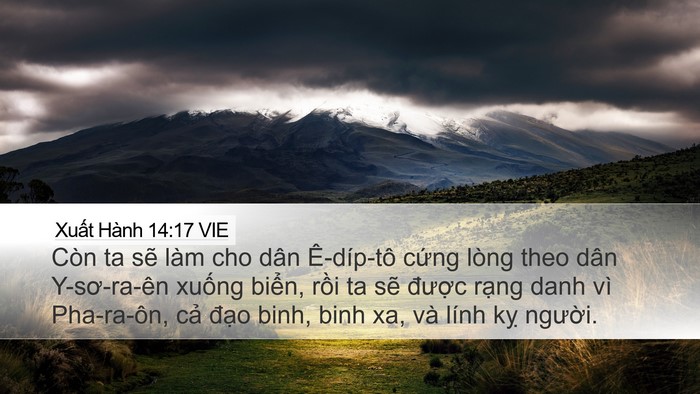 Xuất Hành 14:17 VIE Bible Verse Image