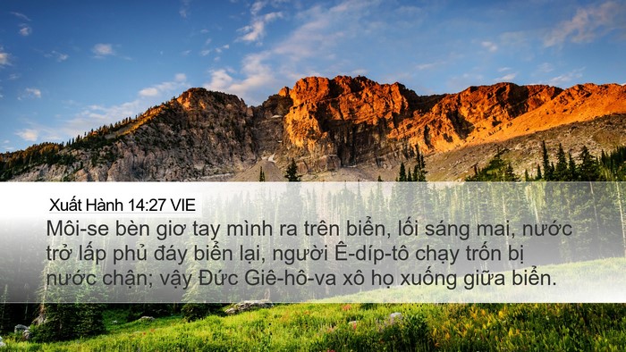 Xuất Hành 14:27 VIE Bible Verse Image