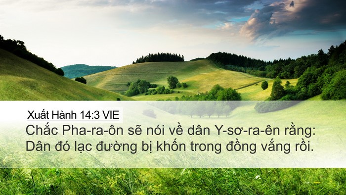 Xuất Hành 14:3 VIE Bible Verse Image