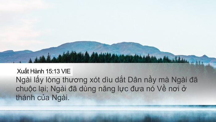 Xuất Hành 15:13 VIE Bible Verse Image