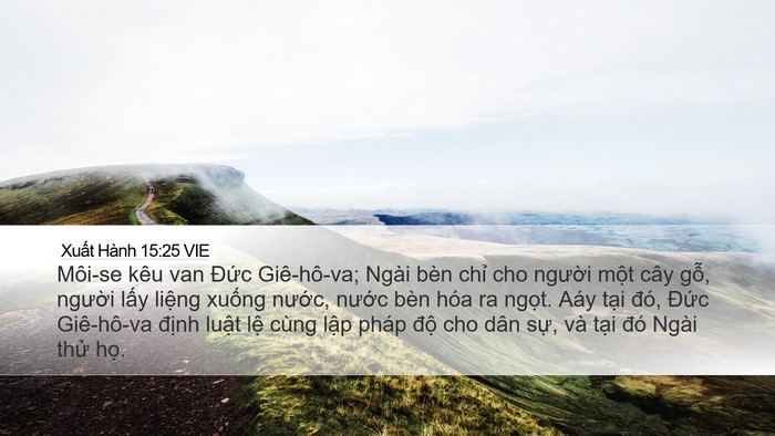Xuất Hành 15:25 VIE Bible Verse Image