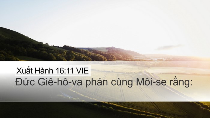 Xuất Hành 16:11 VIE Desktop Wallpaper - Đức Giê-hô-va phán cùng Môi-se - Desktop Bible Verse Wallpaper