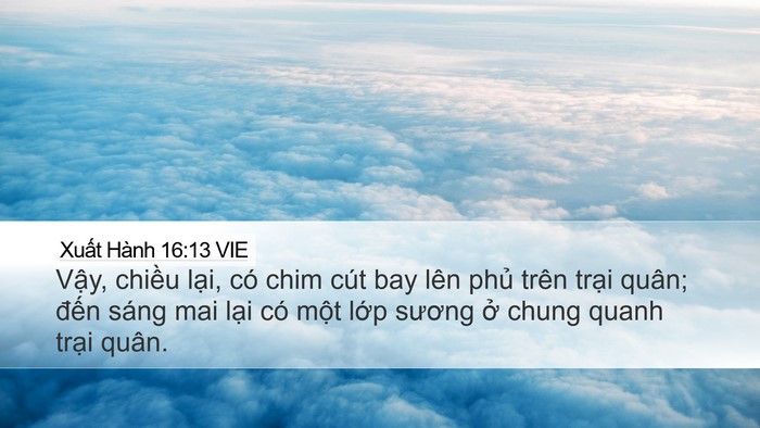 Xuất Hành 16:13 VIE Bible Verse Image