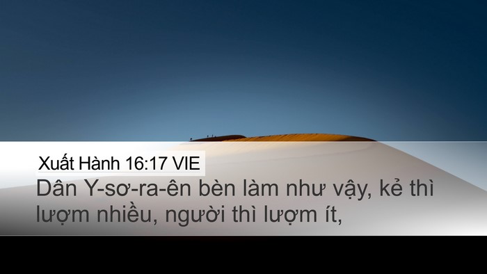 Xuất Hành 16:17 VIE Desktop Wallpaper - Dân Y-sơ-ra-ên bèn làm như vậy, kẻ thì - Desktop Bible Verse Wallpaper