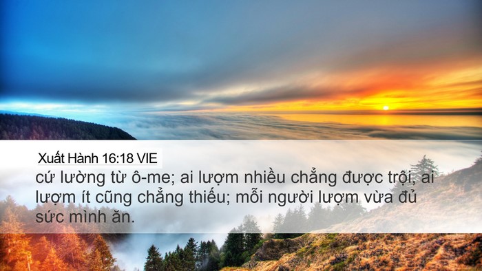 Xuất Hành 16:18 VIE Bible Verse Image