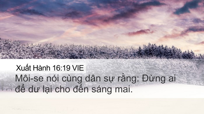 Xuất Hành 16:19 VIE Bible Verse Image