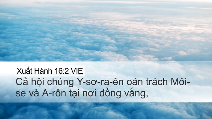 Xuất Hành 16:2 VIE Bible Verse Image