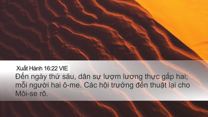 Xuất Hành 16:22 VIE Bible Verse Image