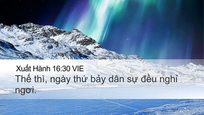 Xuất Hành 16:30 VIE Desktop Wallpaper - Thế thì, ngày thứ bảy dân sự đều - Desktop Bible Verse Wallpaper