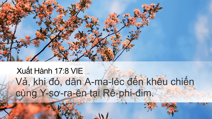 Xuất Hành 17:8 VIE Bible Verse Image