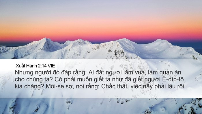 Xuất Hành 2:14 VIE Bible Verse Image