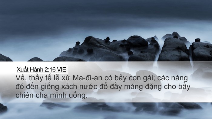 Xuất Hành 2:16 VIE Bible Verse Image