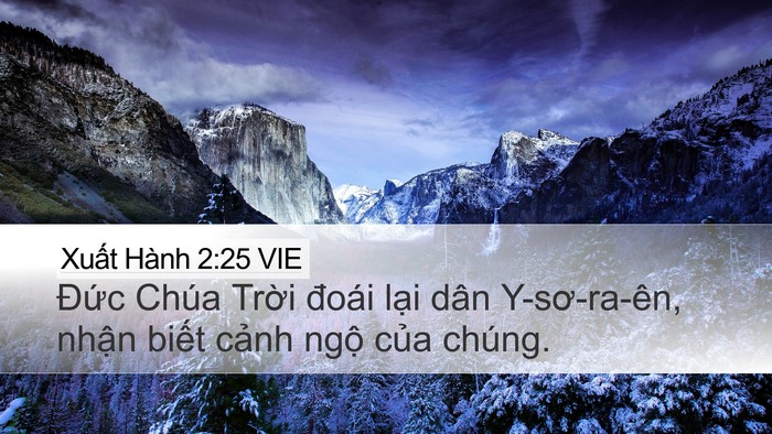 Xuất Hành 2:25 VIE Bible Verse Image