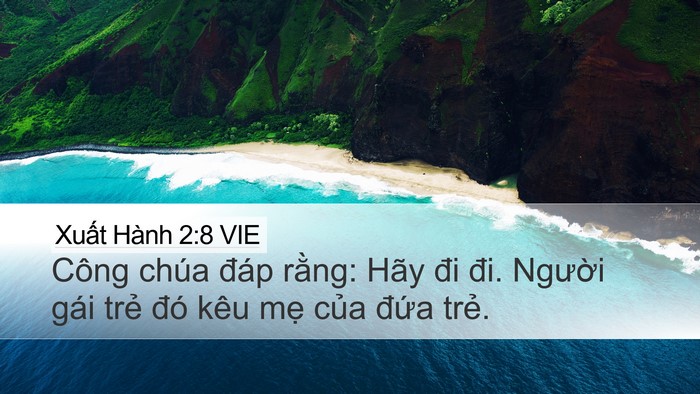 Xuất Hành 2:8 VIE Desktop Wallpaper - Công chúa đáp rằng: Hãy đi đi. Người - Desktop Bible Verse Wallpaper