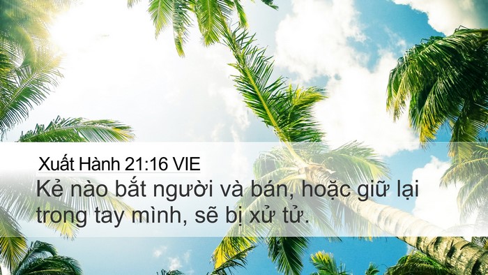 Xuất Hành 21:16 VIE Bible Verse Image