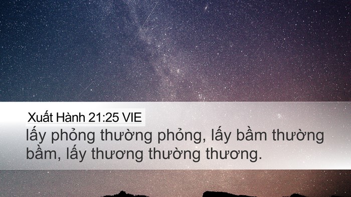 Xuất Hành 21:25 VIE Desktop Wallpaper - lấy phỏng thường phỏng, lấy bầm - Desktop Bible Verse Wallpaper