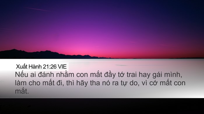 Xuất Hành 21:26 VIE Desktop Wallpaper - Nếu ai đánh nhằm con mắt đầy tớ trai - Desktop Bible Verse Wallpaper