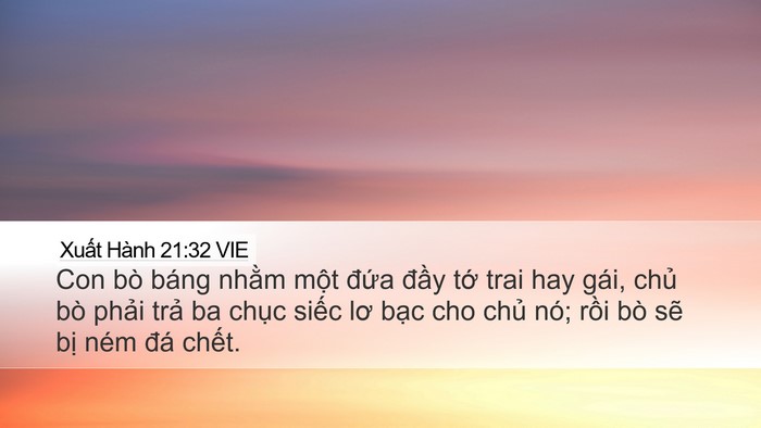 Xuất Hành 21:32 VIE Bible Verse Image
