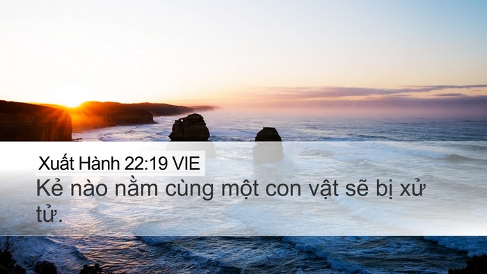 Xuất Hành 22:19 VIE Bible Verse Image