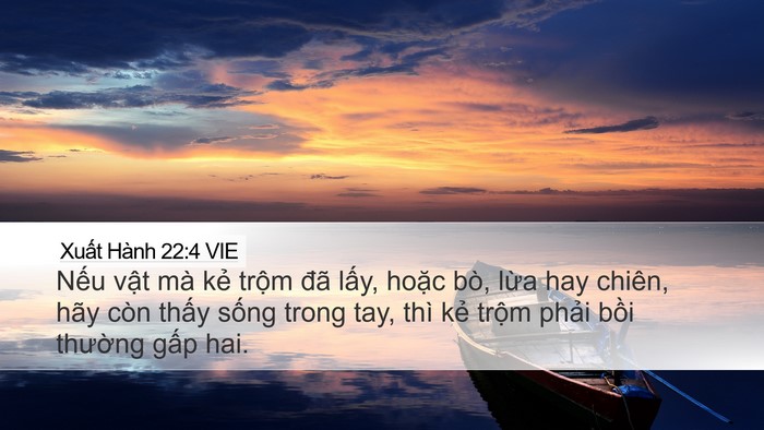 Xuất Hành 22:4 VIE Bible Verse Image