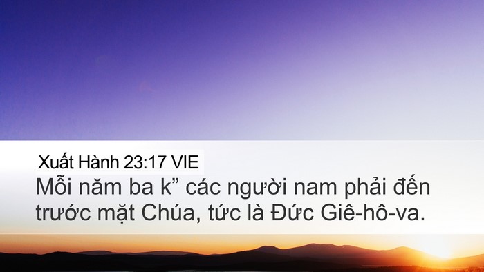 Xuất Hành 23:17 VIE Bible Verse Image