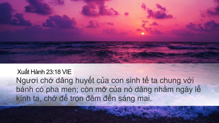Xuất Hành 23:18 VIE Bible Verse Image