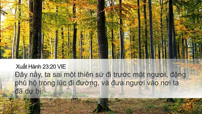 Xuất Hành 23:20 VIE Bible Verse Image