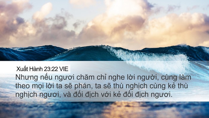 Xuất Hành 23:22 VIE Bible Verse Image