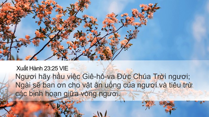 Xuất Hành 23:25 VIE Bible Verse Image
