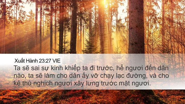 Xuất Hành 23:27 VIE Bible Verse Image